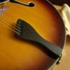 Benedetto Archtop Tailpiece - StewMac -Fine Musical Instruments 5270 1 feed 1900px
